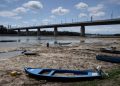 Laagwater in Donau onthult mammoetbotten in Bulgarije