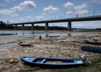 Laagwater in Donau onthult mammoetbotten in Bulgarije