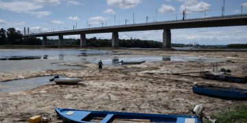 Laagwater in Donau onthult mammoetbotten in Bulgarije