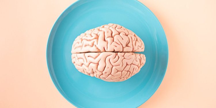 Muizenstudie verklaart paradox bij nieuwe afslankmedicijnen